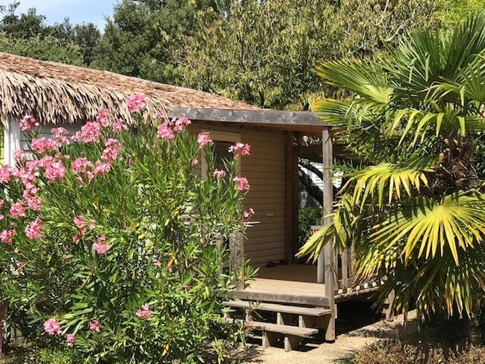 gammes variées d'hébergements pour des vacances à Saint-Palais sur Mer