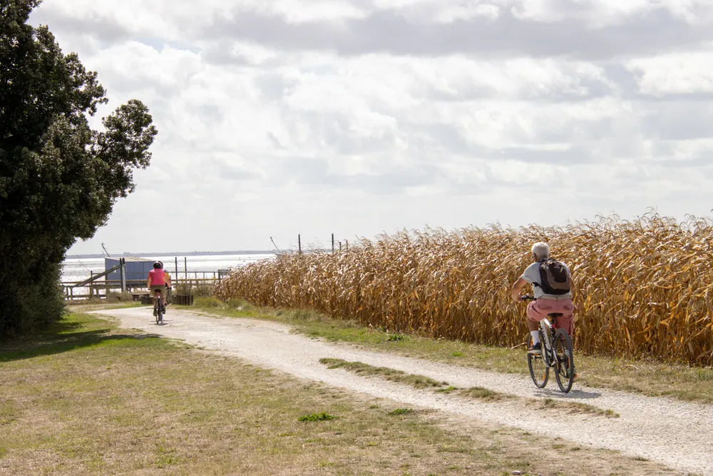Balade en vélo en famille proche du camping